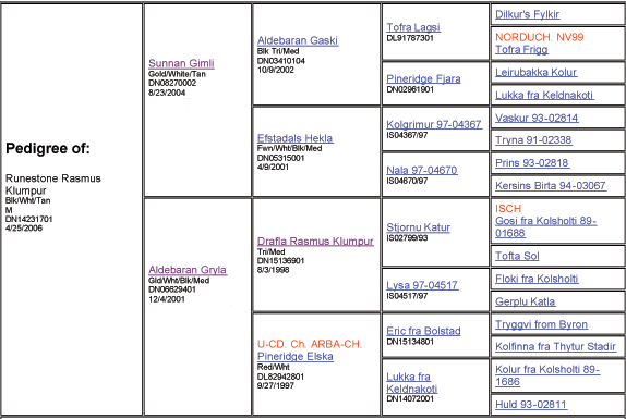 Beckham's pedigree