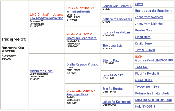 Gotcha's pedigree