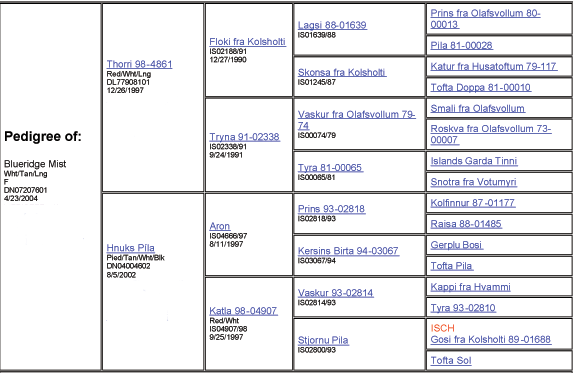 Misty's pedigree