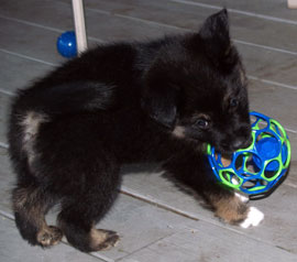 with her ball