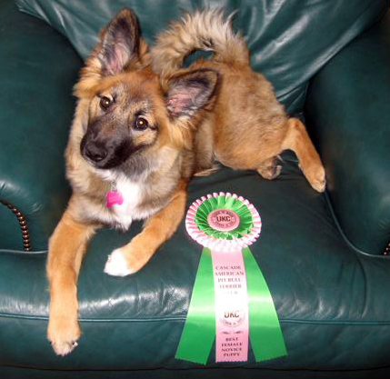 Godiva with her ribbon