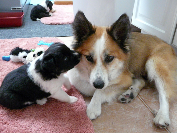 Checking out Mom's eye