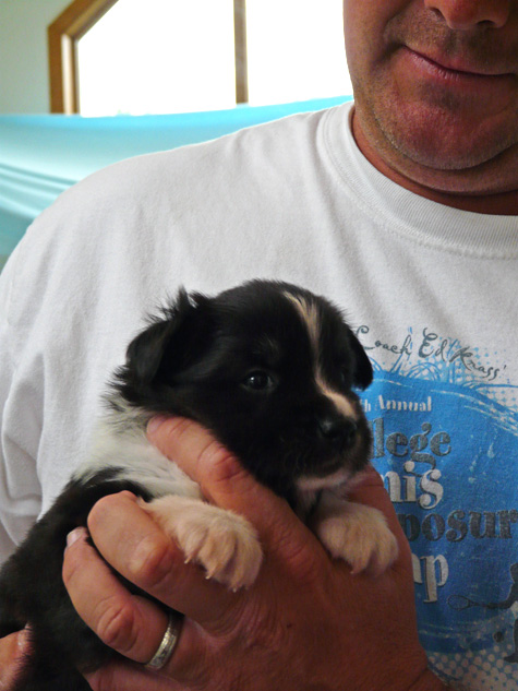 Jeff with Pup 1