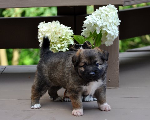 Leif at 4 weeks