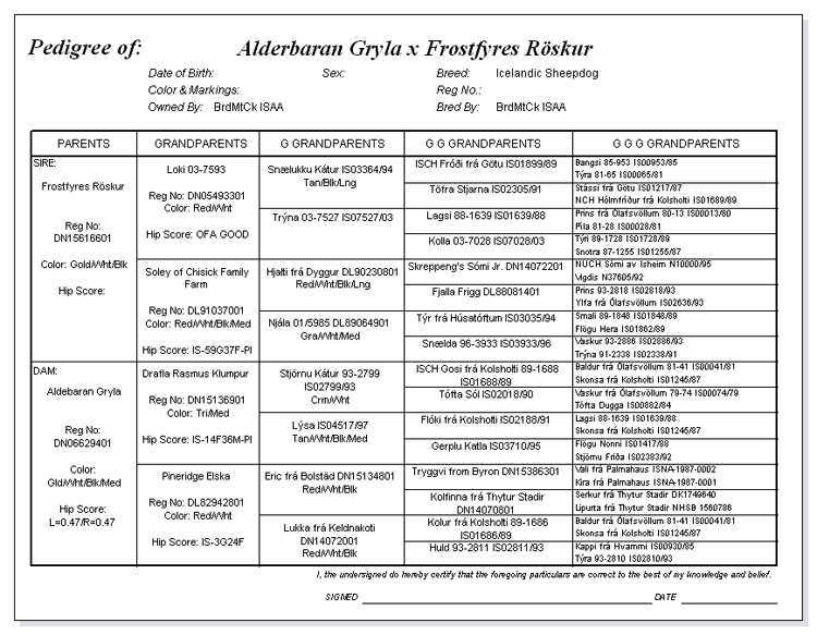 Puppy Pedigree for Gryla and Roskur mating