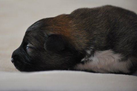Leif at One Week