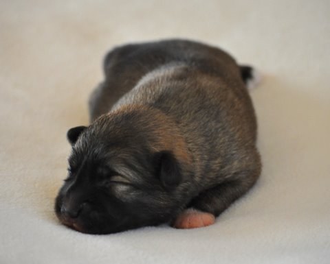 Thora at One Week