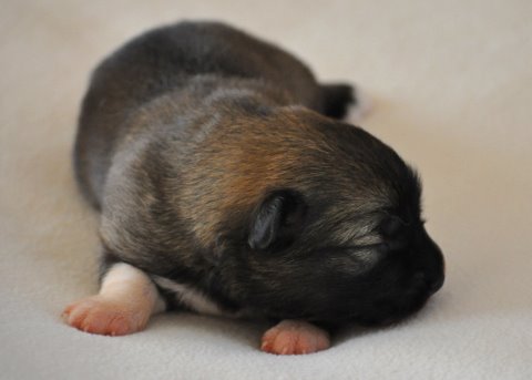 Thora at One Week
