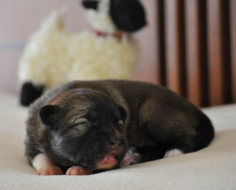 Thora at One Week