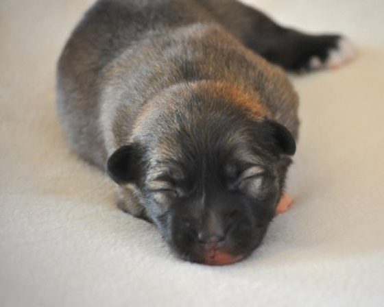 Thora at One Week