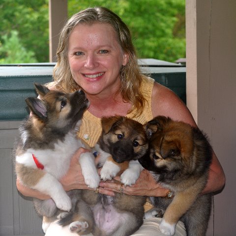 Susan with the pups