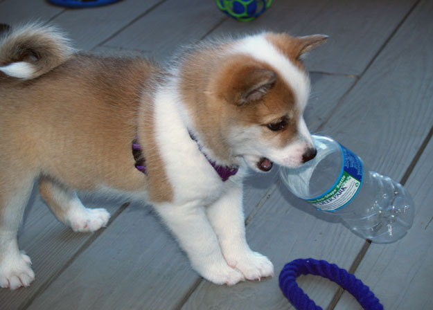 Water Break