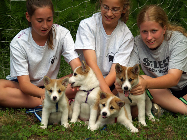 The Soccer Girls with the Pups