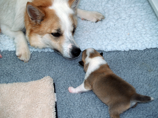 Misty chatting with Hekla