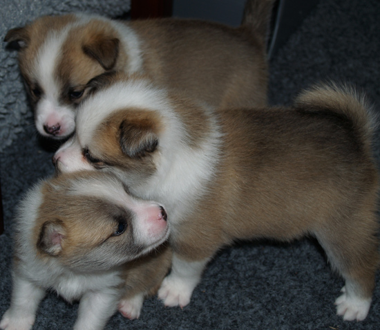 Keilir, Katla and Hekla